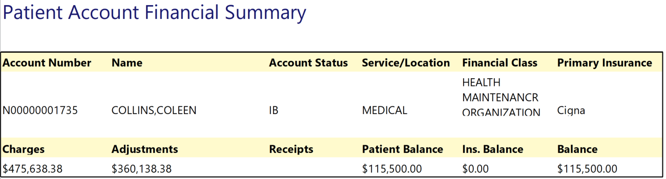 patient account financial summary